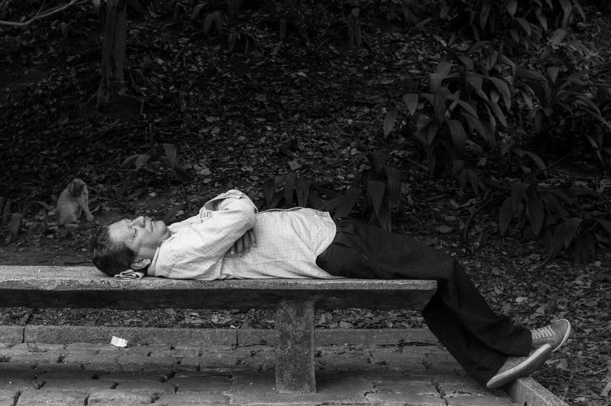 Black and white shot of a man asleep on a park bench, arms folded across his chest