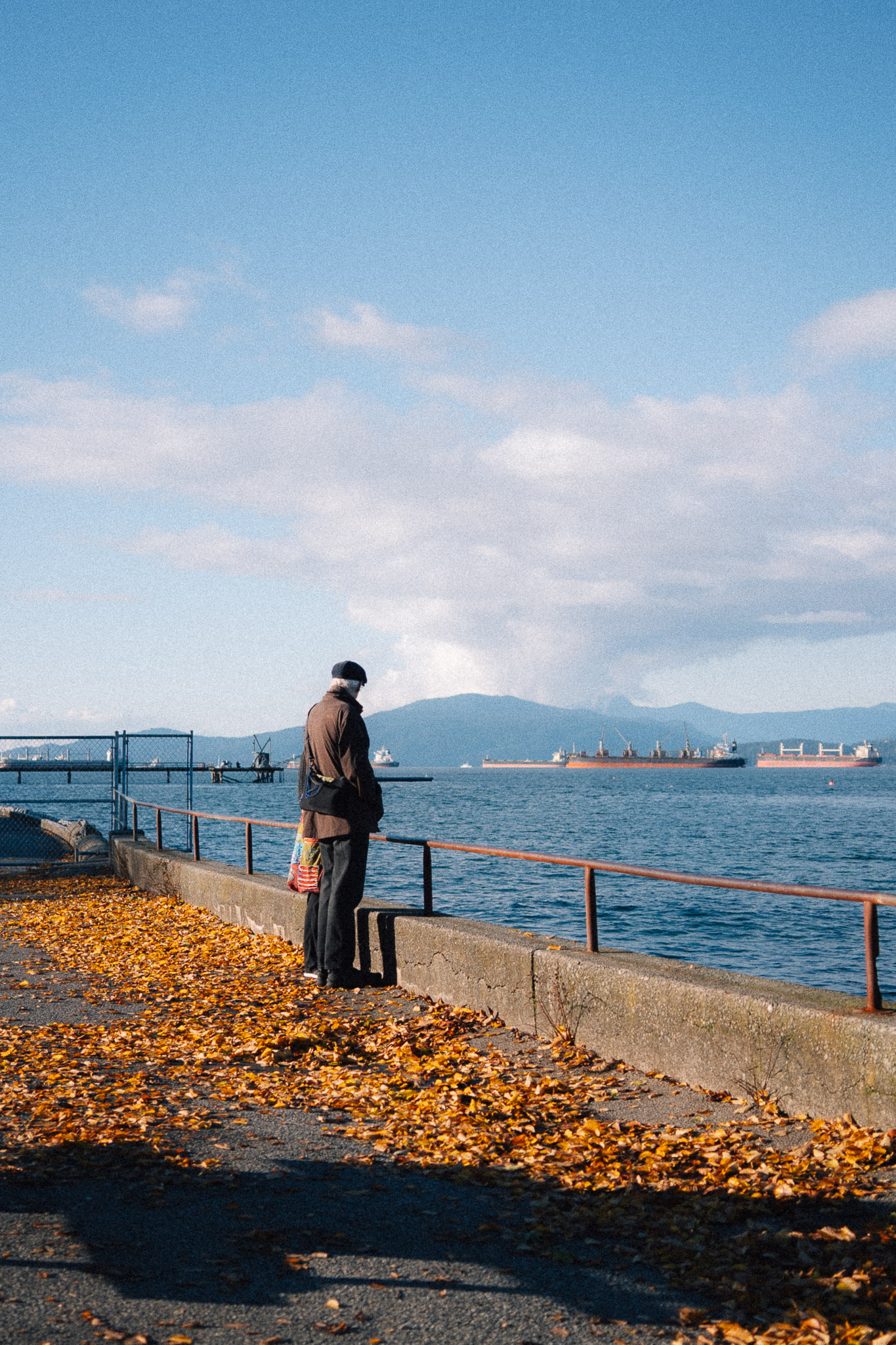 Man standing alone on a seawall covered in fallen leaves, ships on the water beyond