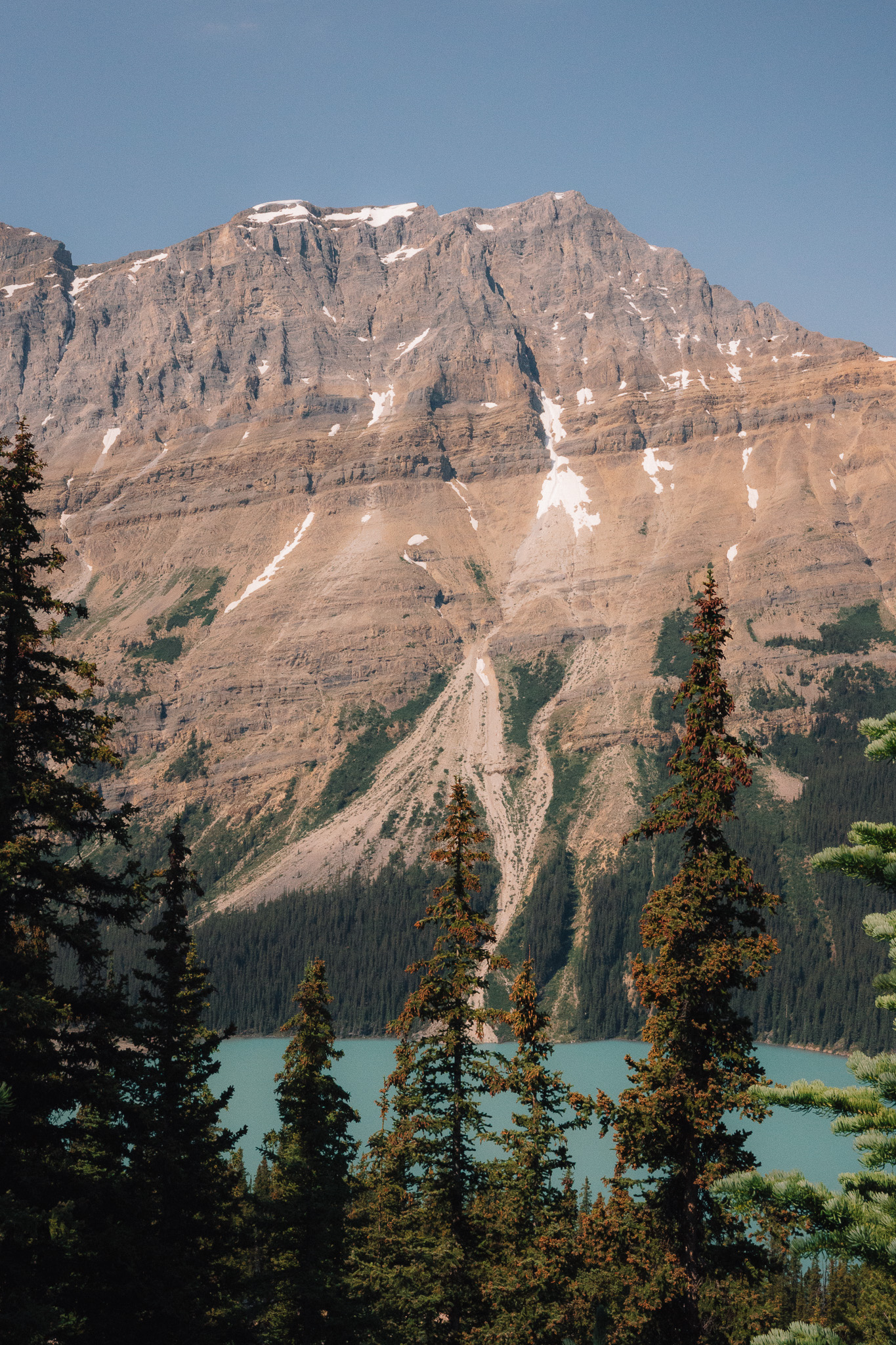 Tall cliff face above a turquoise lake, spruce trees in the foreground