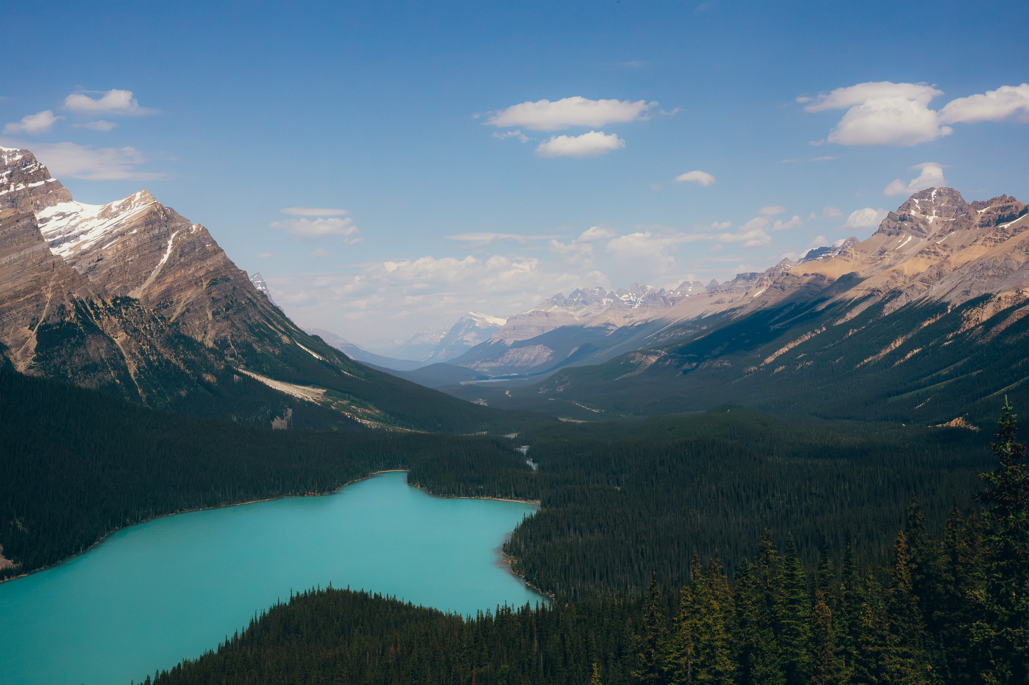 Peyto Lake and its forested valley from the overlook