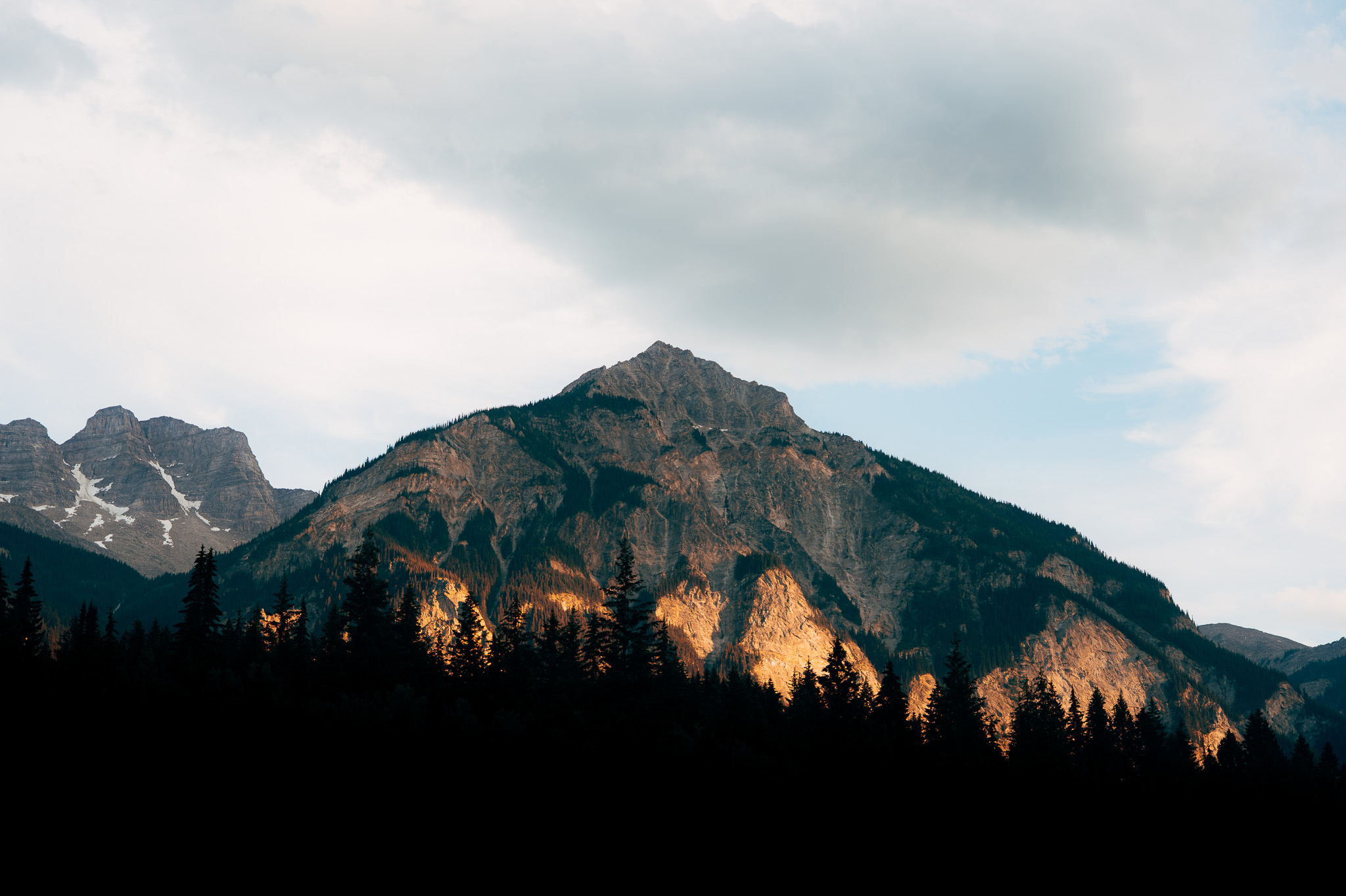 Alpenglow on a mountain face above a dark treeline
