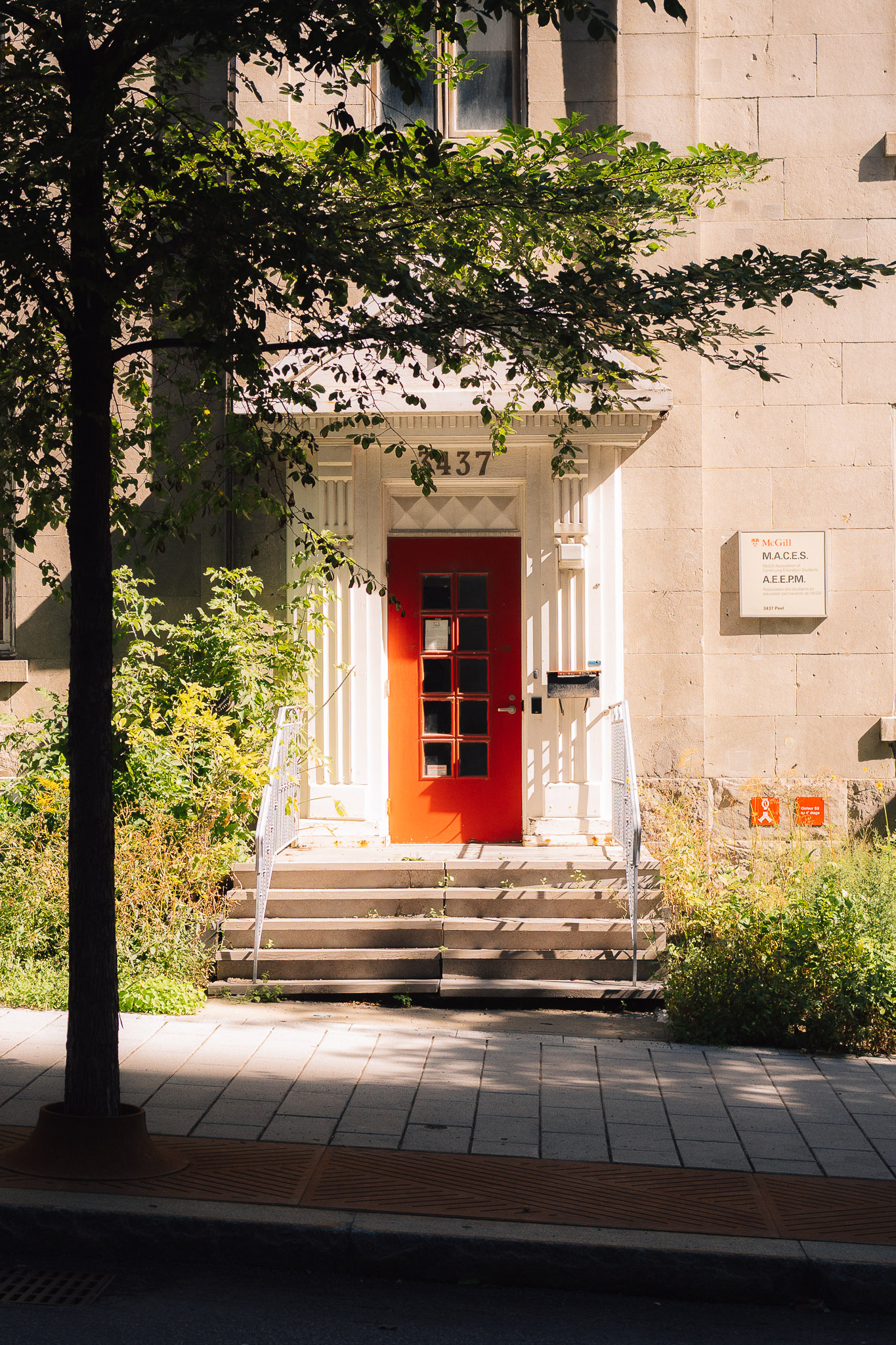 Bright red door at the top of stone steps, framed by a tree and a pale building